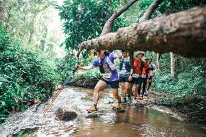 BIB: 
                            <button type="button" onclick="openModal(25375131)" class="btn btn-primary btn-sm float-right btn-popup" data-toggle="modal" data-target=".modal-high-quality">
                        <i class="fas fa-shopping-cart"></i> Add to Cart
                    </button>
                                            <button type="button" onclick="isThisMe(25375131, true)" class="btn btn-success btn-sm float-right btn-popup btn-isme hidden" data-toggle="tooltip" data-placement="bottom" title="นี่คือรูปของคุณใช่ไหม คลิกที่นี่เพื่อเอาเข้าอัลบั้ม">
                        <i class="fas fa-plus"></i> Add to album
                    </button>
                    <button type="button" onclick="isThisMe(25375131, false)" class="btn btn-warning btn-sm float-right btn-popup btn-isnotme hidden">
                        <i class="fas fa-ban"></i> Remove from album
                    </button>